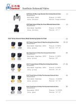 SANLIXIN SOLENOID VALVE-8