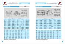 DBY - DCY Series Gearbox - 3