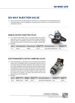 SHINE- Six-way Injection Valve - 1