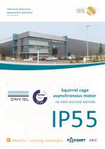 IP55 high voltage motors-1