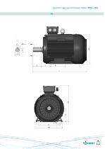 IP55 IE4-15