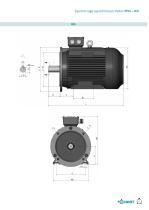 IP55 IE4-19