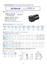 60YN series AC single-phase spur gear motor - 1