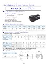 60YN series AC single-phase spur gear motor