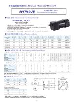 90YN series AC single-phase spur gear motor - 2
