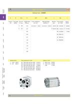 Gear Pump - 13