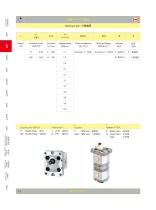 Gear Pump - 17