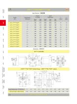 Gear Pump - 19