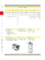 Gear Pump - 21