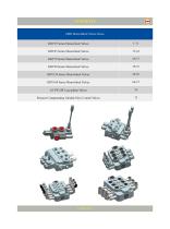 Monoblock Directional Control Valves - 4