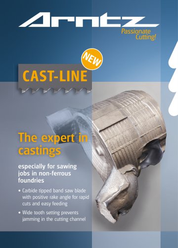 The expert in castings