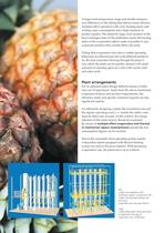 Concentrate Plants for the Fruit and Vegetable Industry-4
