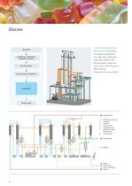 Evaporation Plants for the Starch Industry-10