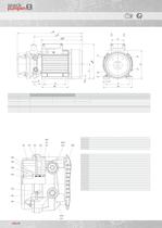 liquid ring vacuum pump - 10