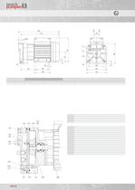 liquid ring vacuum pump - 12