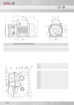 liquid ring vacuum pump - 8