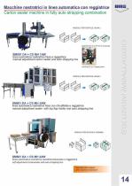 TECHNOLOGY PACKAGING SYSTEMS - 17