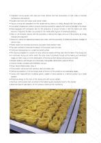 SPECIAL PASTA LINES-9