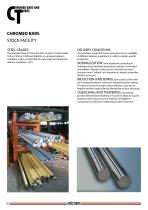 CHROMED BARS - 1