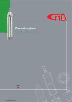 Pneumatic cylinder-1