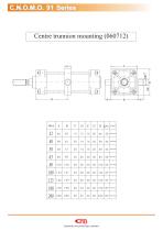 Pneumatic cylinder C.N.O.M.O. - 10