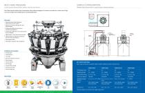 MULTI-HEAD WEIGHERS AND COUNTERS-2