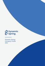 Dynamic Spring Profile - 1