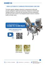 S80 Cabbage processing line-2