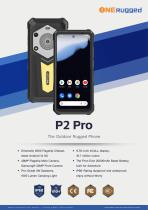 P2 PRO-SPE-1