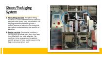 HOT MELT PSA PILLOW-SHAPED PRODUCTION LINE-11