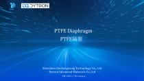 PTFE diaphragm-1