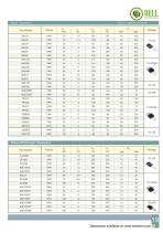 Nell Power Semiconductor Co. Ltd. catalog-21