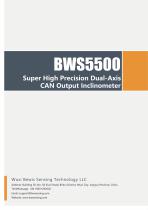 BWSENSING BWS5500-12