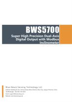 BWSENSING BWS5700-13