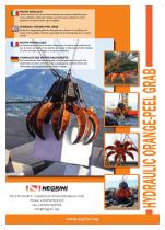 Hydraulic orange-peel grab-2