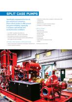 ULTIMATE PERFORMANCE  PUMP SOLUTIONS IN THE  OIL & GAS INDUSTRY-10