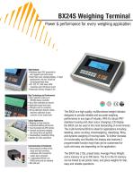 BX24S weighing terminal-1