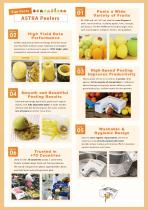 Automatic Fruit Peeler-2