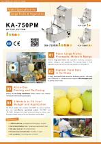 Automatic Fruit Peeler-6