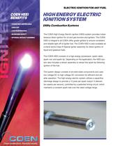 High Energy Electric Ignition System - 1