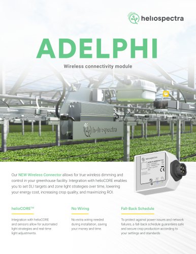 ADELPHI