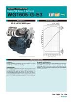WG1605-G-E3-1