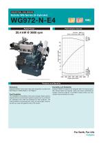 WG972-N-E4-1