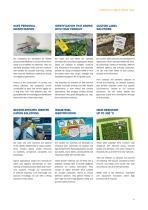 Brochure-5