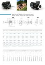 Brochure Brake Motors-3