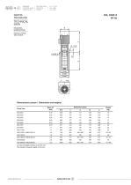 Vertical immersion pumps - 25