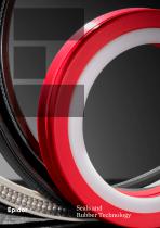 密封与橡胶技术