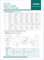 B12.ST Steel-copper - 2