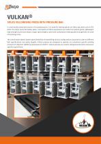 Vulcanizing Presses-4