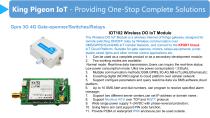 King Pigeon IoT-13
